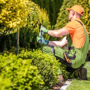 Hardscape vs. Softscape | A & X Masonry